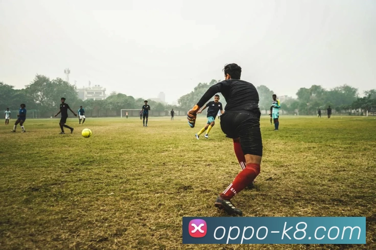 凯发娱乐平台生态图